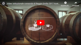 Video istituzionale consorzio di Reggio Emilia - Acetaia Castelli